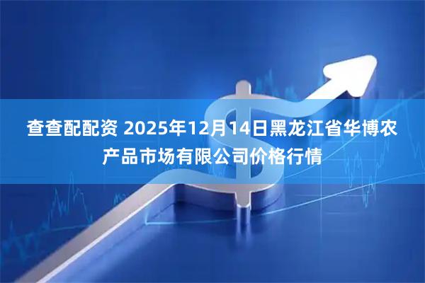 查查配配资 2025年12月14日黑龙江省华博农产品市场有限公司价格行情