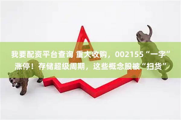 我要配资平台查询 重大收购，002155“一字”涨停！存储超级周期，这些概念股被“扫货”